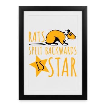 Rats Orthographié à l’envers est Star Lustiger Ratte Spruch - Affiche encadrée (27 × 37 cm) - noir - Devant