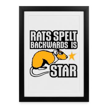 Rats Orthographié à l’envers est Star Lustiger Ratte Spruch - Affiche encadrée (27 × 37 cm) - noir - Devant