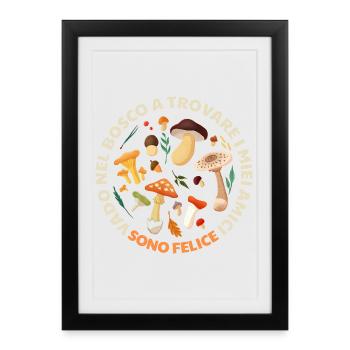 Champignons de la Forêt du Cercle - Affiche encadrée (27 × 37 cm) - noir - Devant