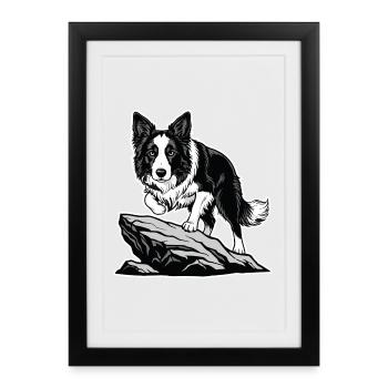 Chien Border Collie sur Rocher Portrait Agilité - Affiche encadrée (27 × 37 cm) - noir - Devant
