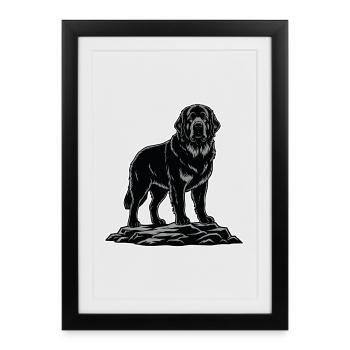 Chien Terre-Neuve Portrait Sauveteur Noir - Affiche encadrée (27 × 37 cm) - noir - Devant