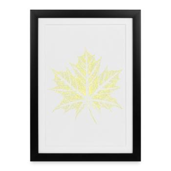 Maple Leaf / Botany - Natural - Framed poster (27 × 37 cm) - black - Front