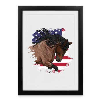 A Spanish Barbe horse and the flag of the USA - Framed poster (27 × 37 cm) - black - Front