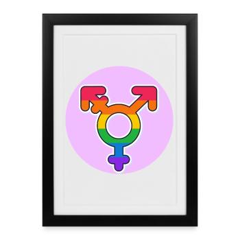 Symbole arc-en-ciel de la fierté transgenre - Affiche encadrée (27 × 37 cm) - noir - Devant