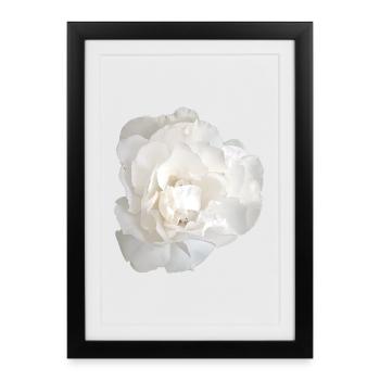 Elegant_White_Gardenia_Floral_Graphic - Affiche encadrée (27 × 37 cm) - noir - Devant