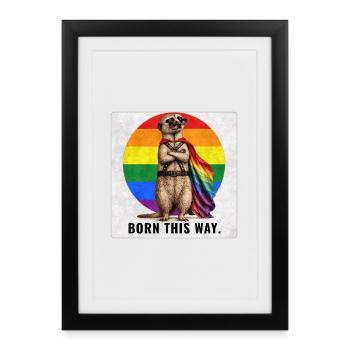 Born This Way LGBTQ Pride Suricate Design - Affiche encadrée (27 × 37 cm) - noir - Devant