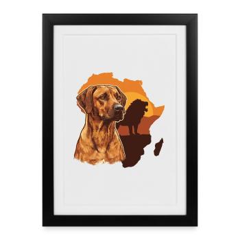 Ridgeback rhodésien - Affiche encadrée (27 × 37 cm) - noir - Devant
