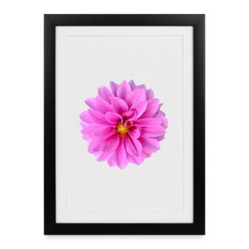Vibrant_Pink_Dahlia_Flower_Wall_Art_Print - Framed poster (27 × 37 cm) - black - Front