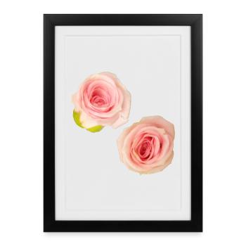 Isolated_Soft_Pink_Rose_Buds_Macro_Photography - Gerahmtes Poster (27 × 37 cm) - Schwarz - Vorne