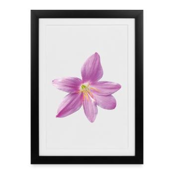 pink_rain_lily_botanical_print_gift_for_her - Affiche encadrée (27 × 37 cm) - noir - Devant