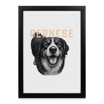 Chien de montagne bernois vintage - Affiche encadrée (27 × 37 cm) - noir - Devant