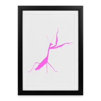Rose mante religieuse - Affiche encadrée (27 × 37 cm) - noir - Devant