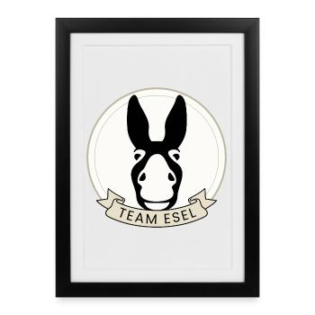 Team Donkey | Donkey Gift for Animal Lovers - Framed poster (27 × 37 cm) - black - Front