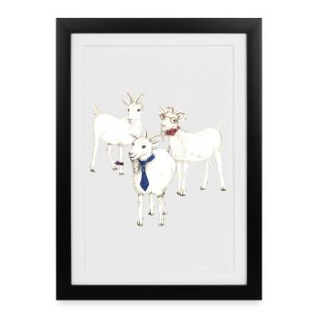 3 drôles de chèvres - un excellent cadeau pour les fans de chèvre - Affiche encadrée (27 × 37 cm) - noir - Devant