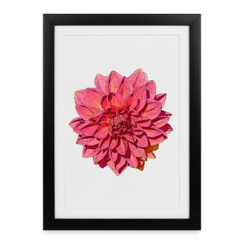 Great Dahlia - Framed poster (27 × 37 cm) - black - Front