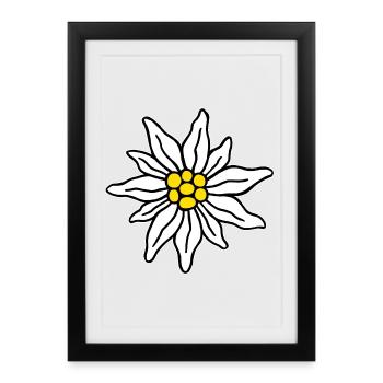 Edelweiss II - Affiche encadrée (27 × 37 cm) - noir - Devant