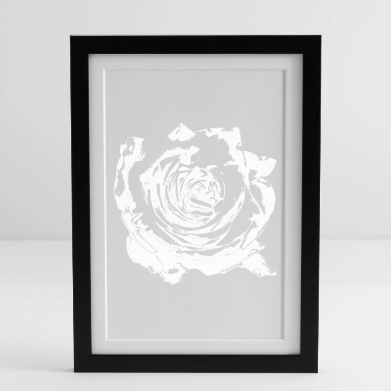 Fleur Blanche Fleurs Blanches Fleurs Blanches Fleurs Blanches Affiche encadrée (27 × 37 cm)
