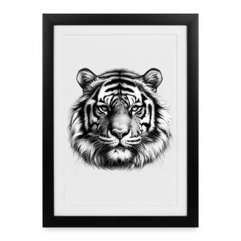 Tiger - Framed poster (27 × 37 cm) - black - Front