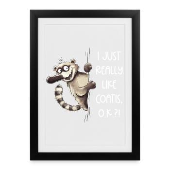 Lustiger Nasenbär I Just Really Like Coatis Spruch - Framed poster (27 × 37 cm) - black - Front