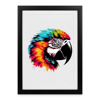 Perroquet - Affiche encadrée (27 × 37 cm) - noir - Devant
