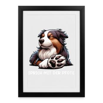 Talk to the paw Australian Shepherd Aussie - Framed poster (27 × 37 cm) - black - Front