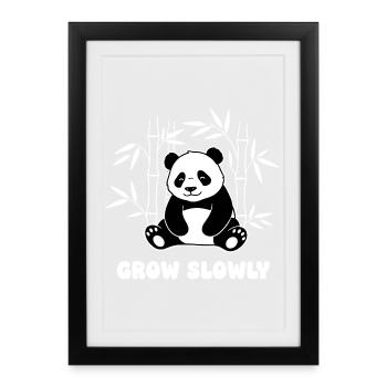 Panda in the Bamboo Forest – Grow Slowly - Framed poster (27 × 37 cm) - black - Front