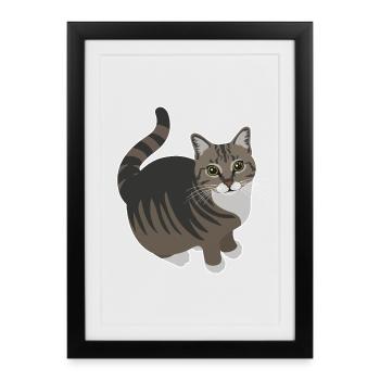 tabby cat with white paws - Framed poster (27 × 37 cm) - black - Front