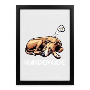 Hundemüde Whippet Windhund Whippets Whippethalter - Gerahmtes Poster (27 × 37 cm) - Schwarz - Vorne