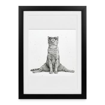 Cool Cat Yoga Splits - Framed poster (27 × 37 cm) - black - Front