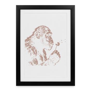 Chimpanzé qui souffle le pissenlit Art nature du singe - Affiche encadrée (27 × 37 cm) - noir - Devant