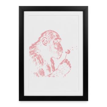 Chimpanzé qui souffle le pissenlit Art nature du singe - Affiche encadrée (27 × 37 cm) - noir - Devant
