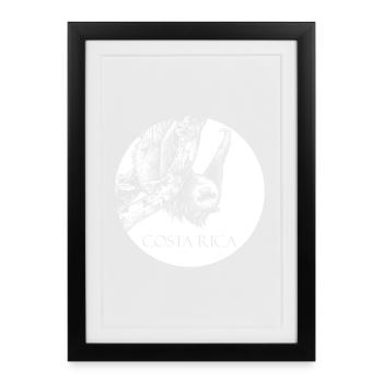 Paresseux Costa Rica - Affiche encadrée (27 × 37 cm) - noir - Devant