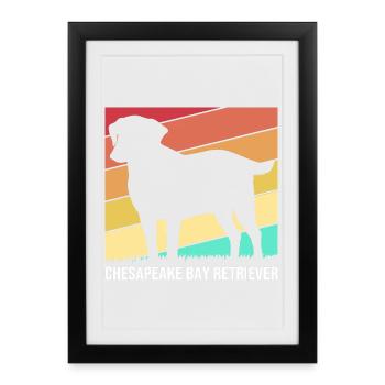 Retriever de la baie de Chesapeake - Affiche encadrée (27 × 37 cm) - noir - Devant
