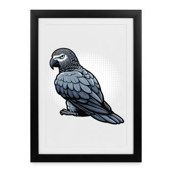 Perroquet gris d'Afrique propriétaire de perroquet gardien de perroquet - Affiche encadrée (27 × 37 cm) - noir - Devant
