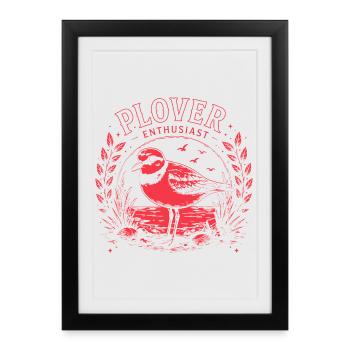 Illustrations d’oiseaux pluviers passionnés de pluvier - Affiche encadrée (27 × 37 cm) - noir - Devant