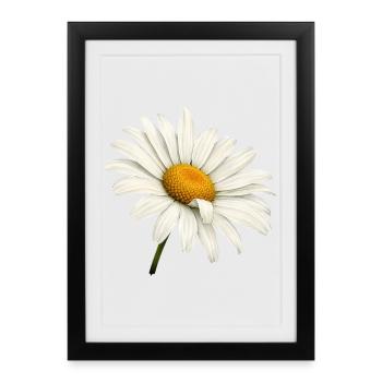 White Daisies Blossom Nature Flowers Design - Framed poster (27 × 37 cm) - black - Front
