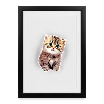 Bébé chat - Affiche encadrée (27 × 37 cm) - noir - Devant