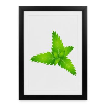 juicy green fresh mint leaves - Framed poster (27 × 37 cm) - black - Front