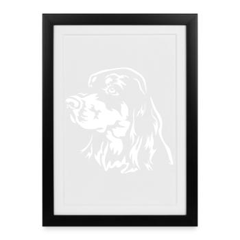 Gordon Setter Head « Black Edition » - Affiche encadrée (27 × 37 cm) - noir - Devant