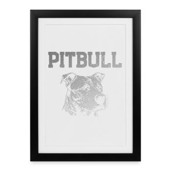 Pitbull - Framed poster (27 × 37 cm) - black - Front
