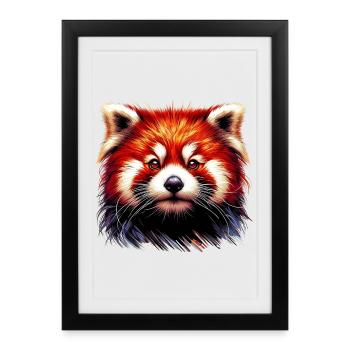 Petit panda - Affiche encadrée (27 × 37 cm) - noir - Devant