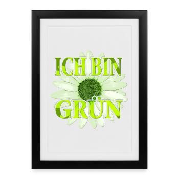 Je suis vert - Fleur de margarite - Affiche encadrée (27 × 37 cm) - noir - Devant