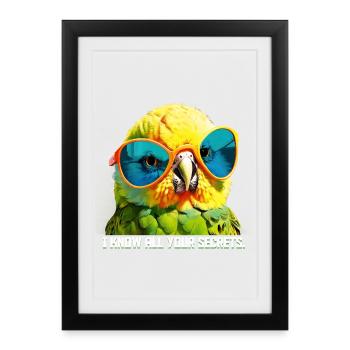 Je connais tous tes secrets Funny Budgie - Affiche encadrée (27 × 37 cm) - noir - Devant