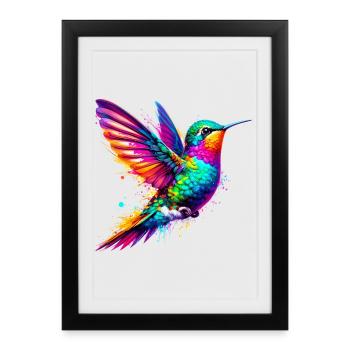 Colibri - Affiche encadrée (27 × 37 cm) - noir - Devant