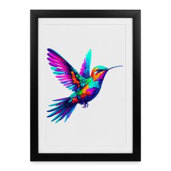 Colibri - Affiche encadrée (27 × 37 cm) - noir - Devant