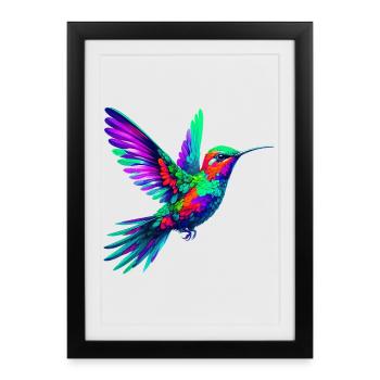 Colibri - Affiche encadrée (27 × 37 cm) - noir - Devant