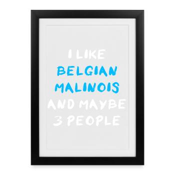 Belgium Malinois - Framed poster (27 × 37 cm) - black - Front