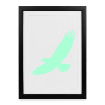 Faucon en vol - Affiche encadrée (27 × 37 cm) - noir - Devant