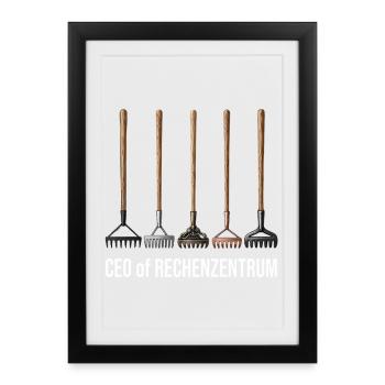 CEO of Data Center Gardener Gardener Garden - Framed poster (27 × 37 cm) - black - Front