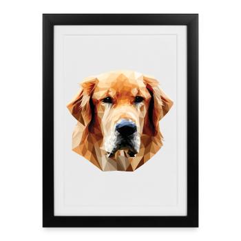 Polygone de chien Labrabor - Affiche encadrée (27 × 37 cm) - noir - Devant